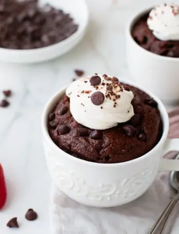 mug cake