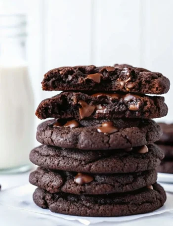 double chocolate cookies