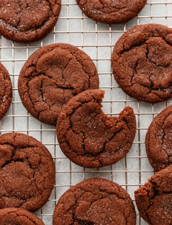 Chocolate Snickerdoodles